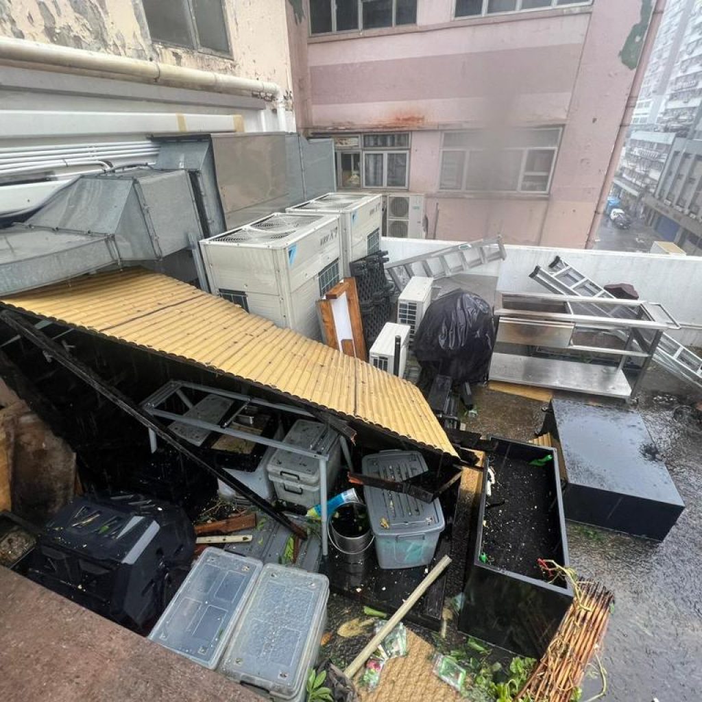 MoreGoodTyphoonSaola (8)