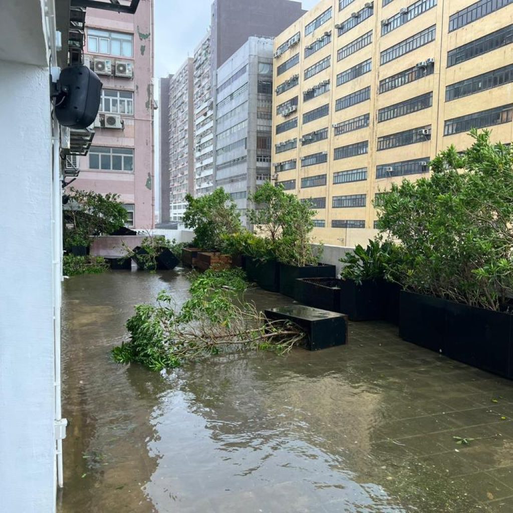 MoreGoodTyphoonSaola (9)